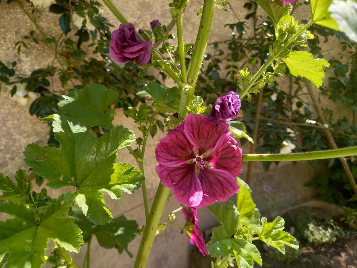 Maison Violette En Berry Aigurande Zewnętrze zdjęcie